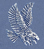 Solid Sterling Silver Small, Medium or Large Finished Antique Eagle, Bald Eagle, Charm, DYI Jewelry, With Loop on Back, 570-075/076/077